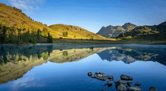 接吻传播细菌？竟有益健康