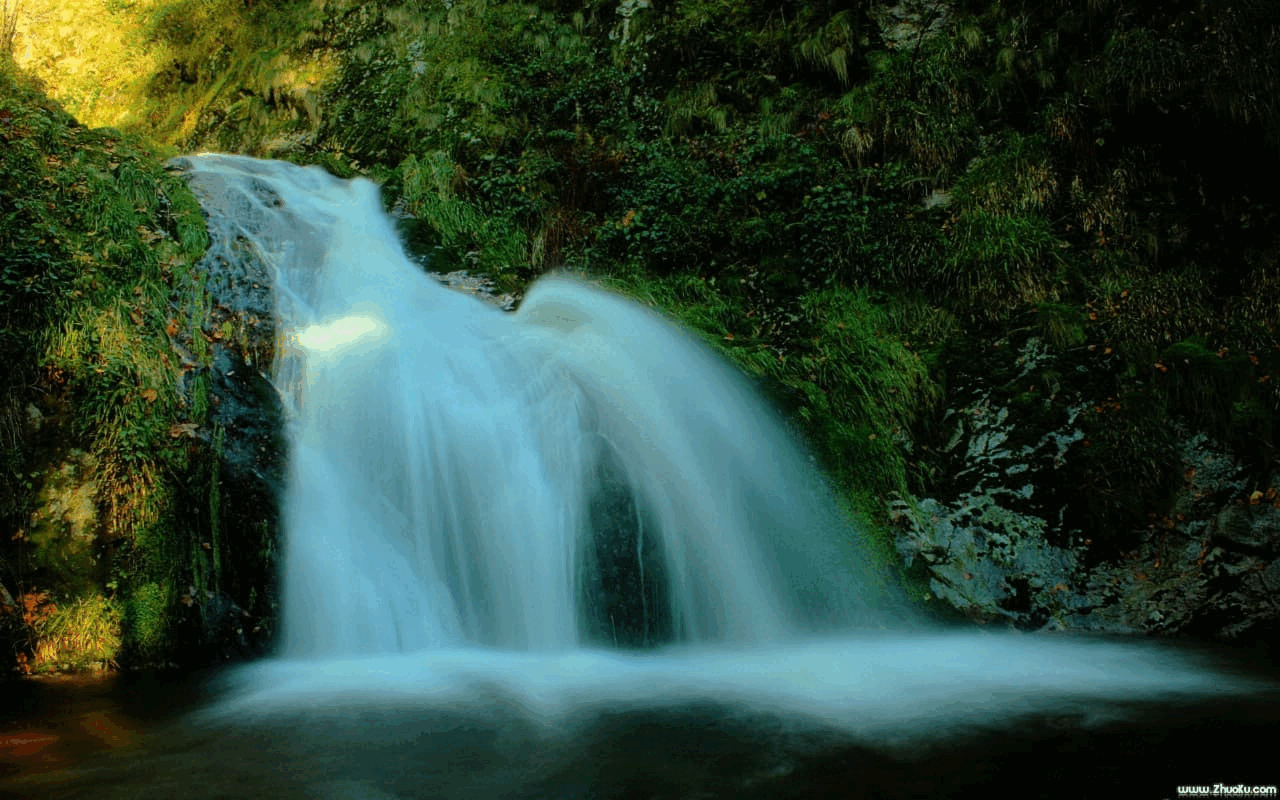 牵手散步可帮助改善性情绪