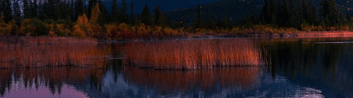 我心素简，一缕阳光