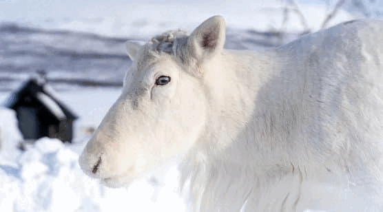 最易达到高潮的摩擦式插入...
