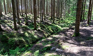 简单执行一个命令即可实现...