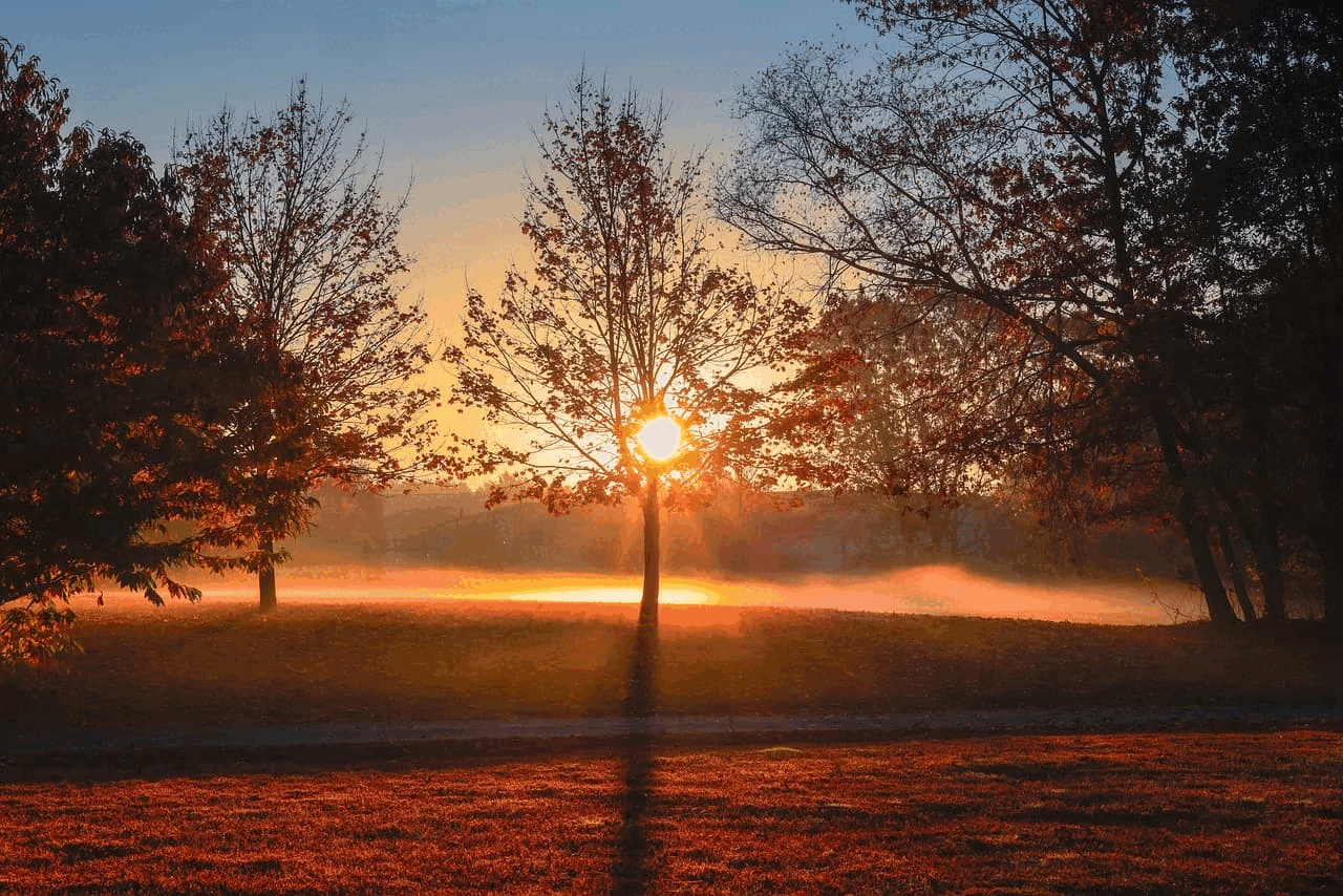 余秋雨 ：来生，依旧等你...