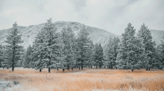 踏平这8大爱情胜地不用做剩女