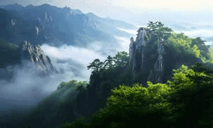 告别单身女 7招必杀绝技