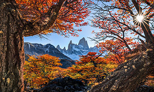 QQ被盗以及找回密码的注...