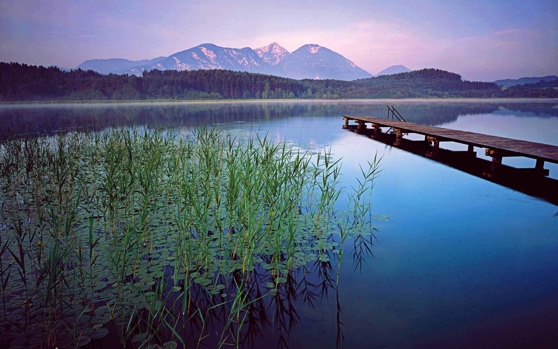 梦中的白衣女子