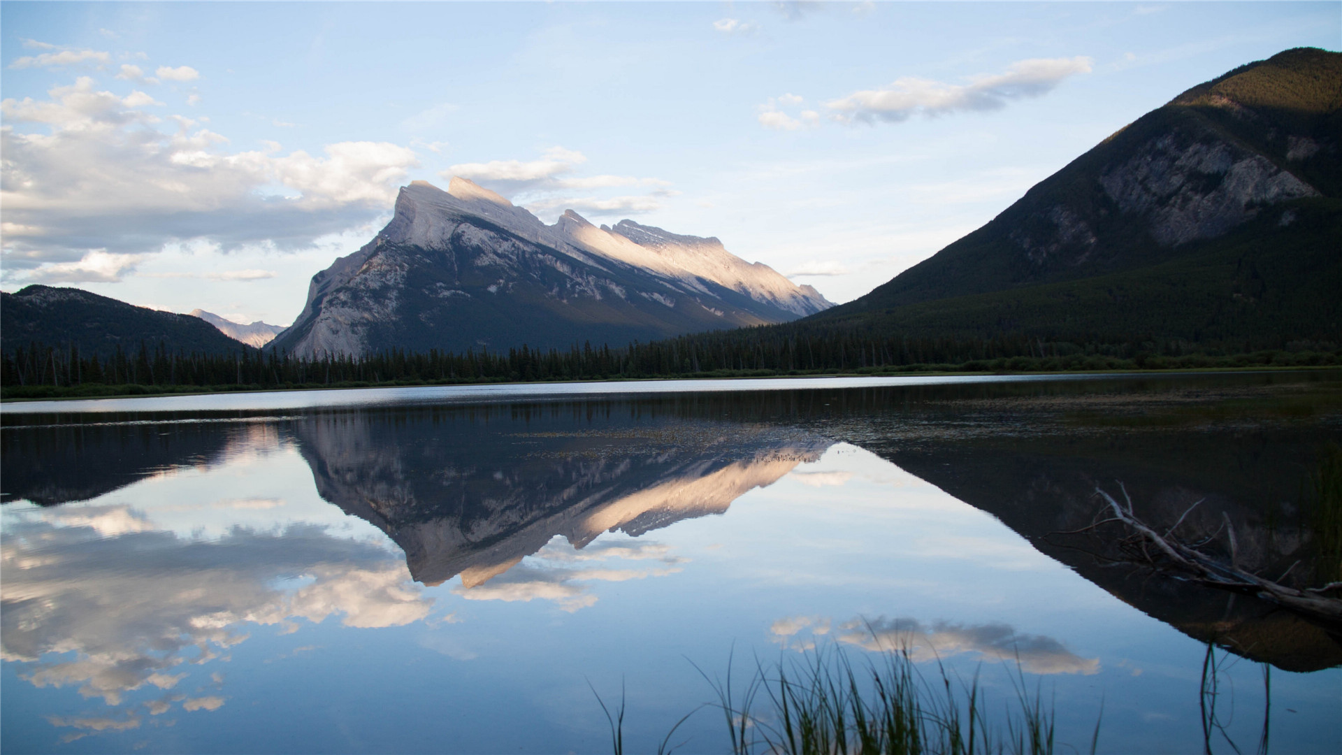 教你摆脱单身的心理学