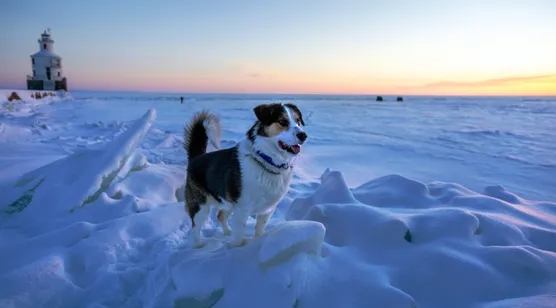 女人最渴望的插入方式