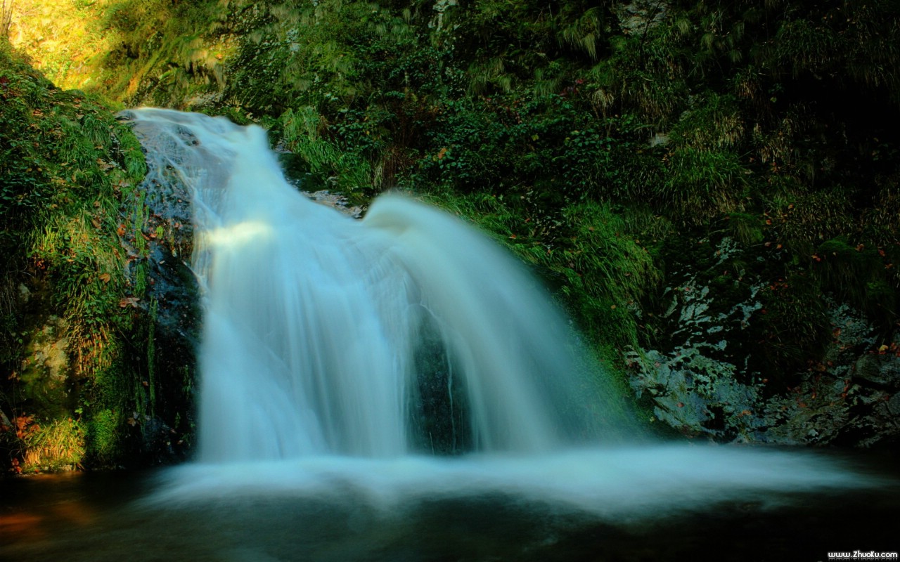 受孕夫妻需要达到哪些条件